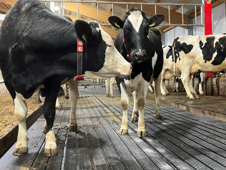 side slope to corridor