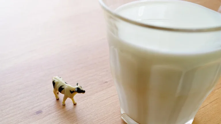 Cow productivity and flooring